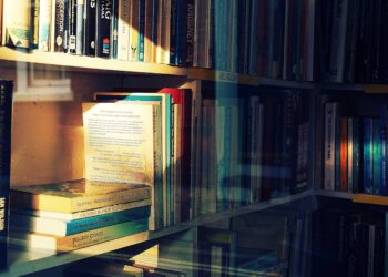 A Review of The Hollow Kind, by Julien Mercier