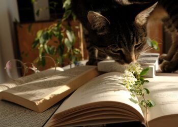 Review of A Season for the Ashes, by Marlene Vex