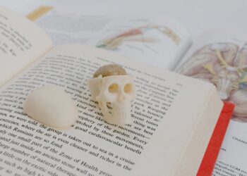 What Sable Line Gave Me