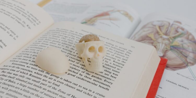 What Sable Line Gave Me