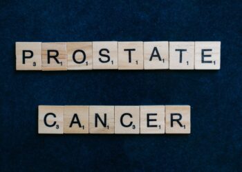 5 Key Ingredients in a Prostate Healer That You Need to Know