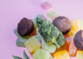 How to Get Started Using THC CBD Gummies for Daily Wellness