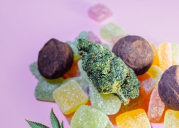 How to Get Started Using THC CBD Gummies for Daily Wellness