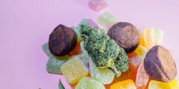 How to Get Started Using THC CBD Gummies for Daily Wellness
