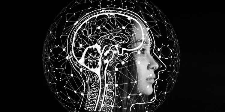  When Everything Feels Random: Searching for Patterns That Don’t Exist