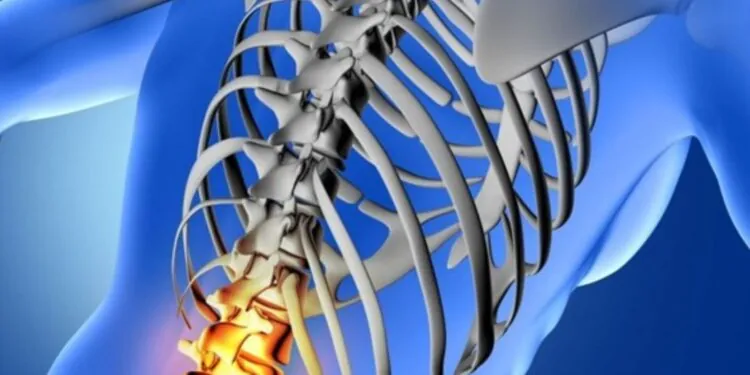 Suffered a Spinal Cord Injury: Your Legal Options Explained