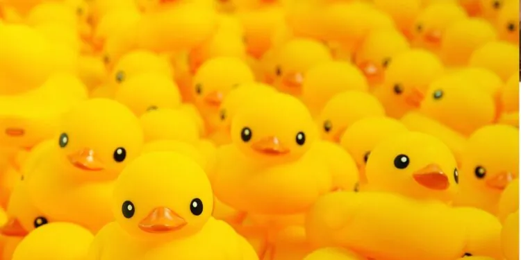 Behind the Beak: How Rubber Ducks Are Made (and What Makes a Quality One)